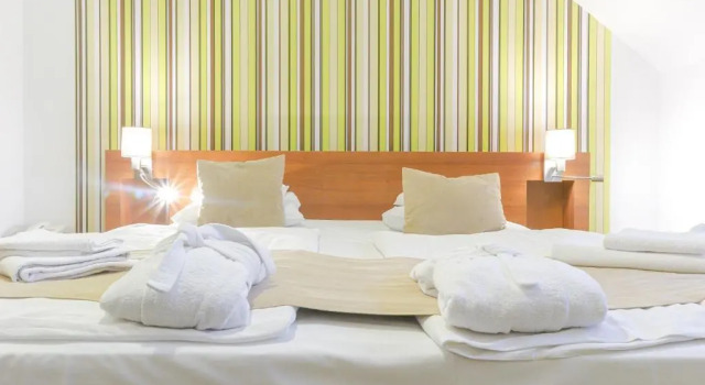 Двухместный номер Economy Zenit Wellness Hotel Balaton