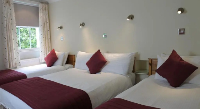 Семейный номер Standard Harlingford Hotel