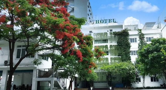 Ivy Hotel