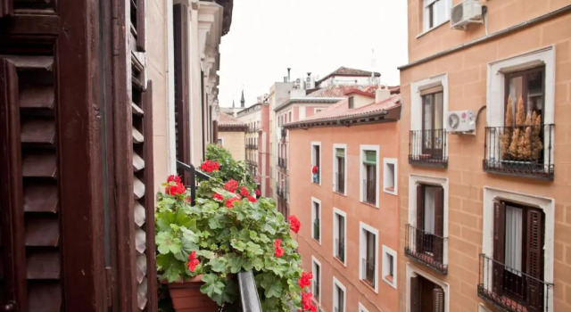 Одноместный номер Standard Hostal A Nuestra Senora de La Paloma