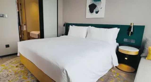 Люкс Hilton Garden Inn Beiiing Haidian Daoxiang Lake