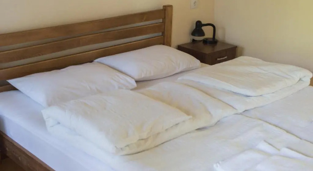 Номер Standard Guesthouse Mountain View