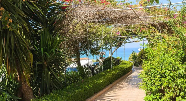 Номер Standard Zante Palace