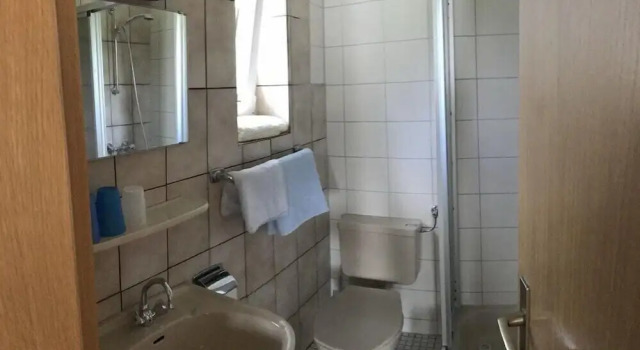Трёхместный номер Standard Hotel Dribischenhof