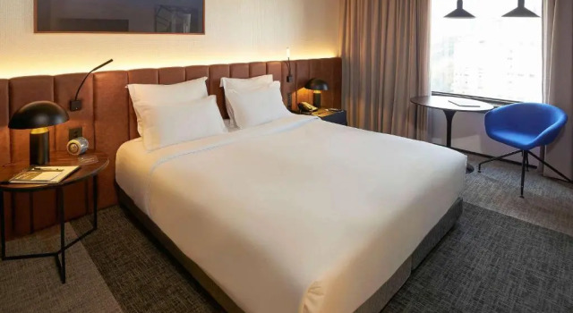 Двухместный номер Deluxe Pullman Sao Paulo Ibirapuera