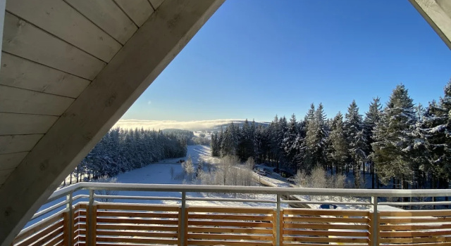 Люкс Berghaus Freiburg - Appartement Hotel auf dem Schauinsland
