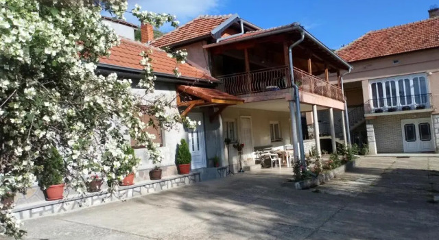 Номер Standard Guest House Green view