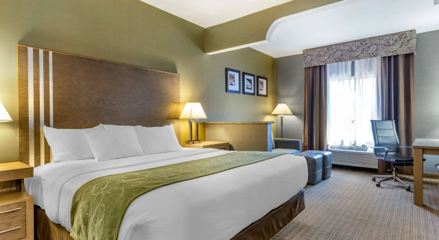 Двухместный люкс Comfort Suites Southgate-Detroit