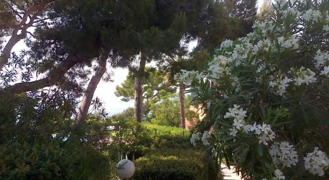 Апартаменты Saint-Mandrier-sur-Mer, ravissant T2 vue mer