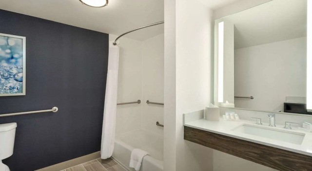 Номер Standard Hilton Garden Inn Melville