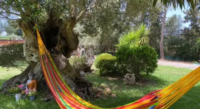 Son Gual 9, Book Hotel Son Gual Majorca
