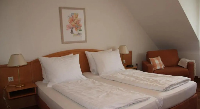 Двухместный номер Standard Hotel Kurpfalzstuben