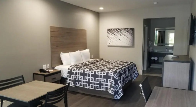 Двухместный номер Standard Palace Inn Blue Tomball Parkway