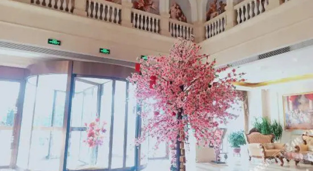 Люкс Deluxe Vienna International Hotel Shandong Weihai Rongcheng
