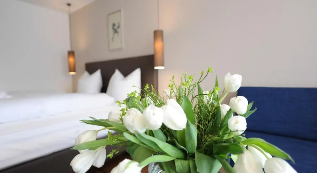 Номер Comfort Hotel Vier Jahreszeiten