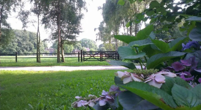 Студия Villa Berk en Heide
