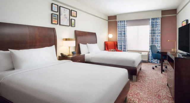 Четырёхместный номер Standard Hilton Garden Inn El Paso Airport