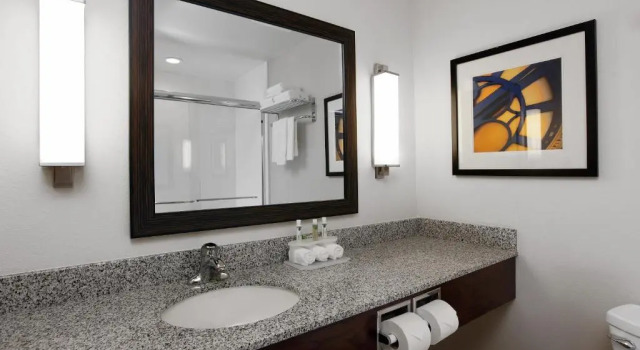 Люкс Holiday Inn Express & Suites Omaha South Ralston Arena by IHG