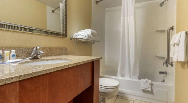 Люкс c 1 комнатой Suburban Studios Arlington Heights Elk Grove