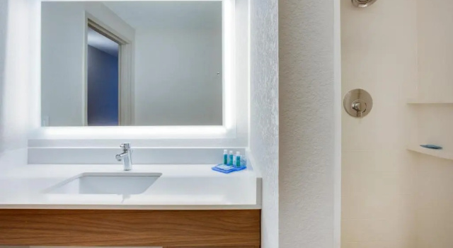 Люкс Holiday Inn Express Hotel & Suites Tampa-Fairgrounds-Casino by IHG