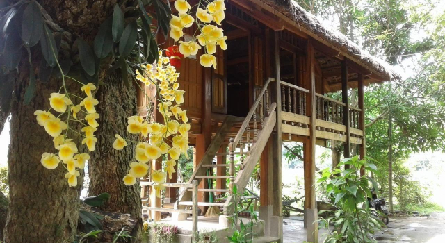 Hung Mech Homestay