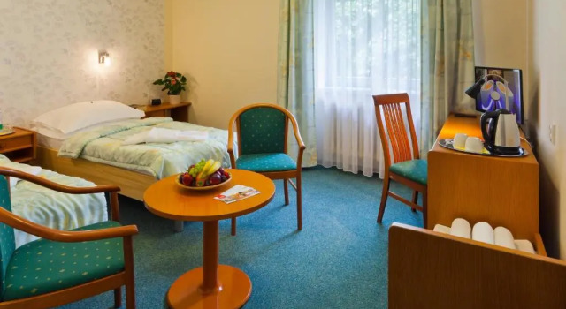 Двухместный номер Standard Hotel Panorama
