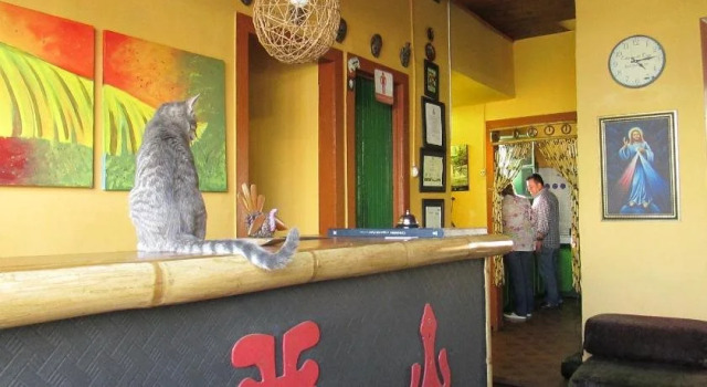 La Gran Via Hostal, Book Hostel / Vandrerhjem Hostels i Manizales, Hostel / Vandrerhjem