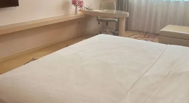 Deluxe Suite Vienna Hotel