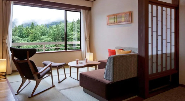 Двухместный номер Standard с видом на реку Hotel Shidotaira
