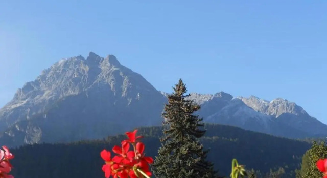 Апартаменты Ferienwohnung Steinmann Scuol