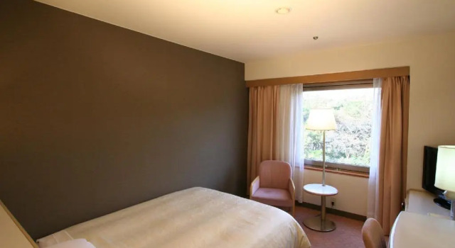 Двухместный номер Standard Tokyo Dai-ichi Hotel Matsuyama