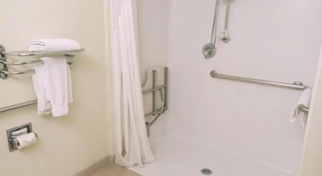 Двухместный номер Standard Microtel Inn and Suites by Wyndham Toluca