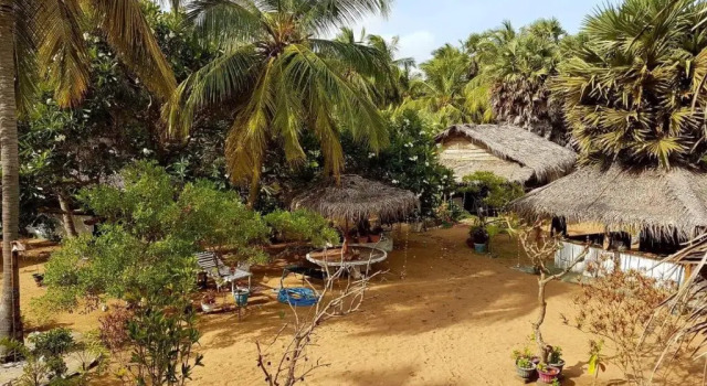 Номер Standard Sun Wind Beach Kalpitiya Kite Resort