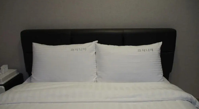 巨济拉萨尼亚酒店(Lasania Hotel Geoje)