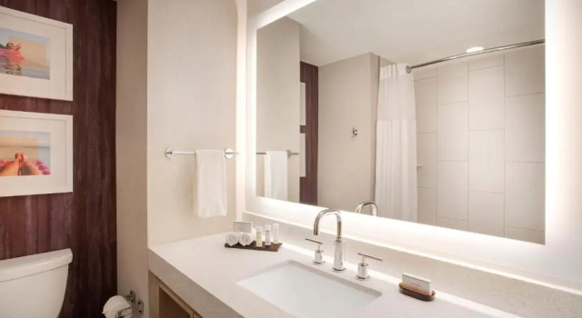 Двухместный люкс с видом на залив Embassy Suites by Hilton Tampa Downtown Convention Center