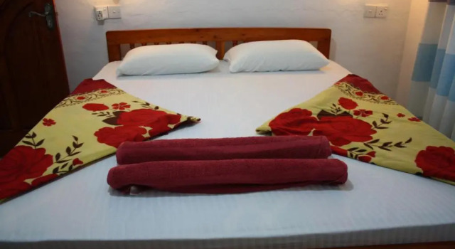 Standard Double room with balcony Eco Salient View