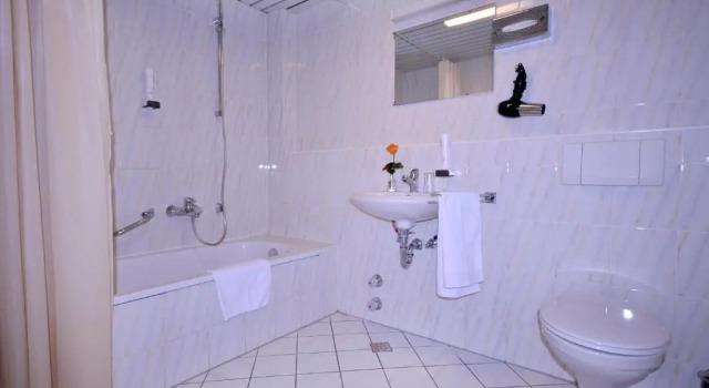 Двухместный номер Economy Alpha Hotel Garni