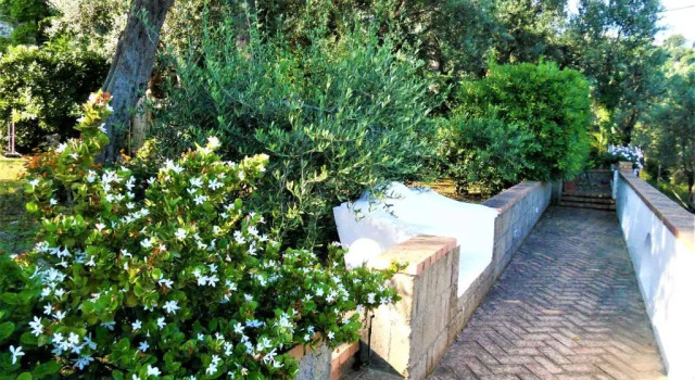 Коттедж villa le olivine