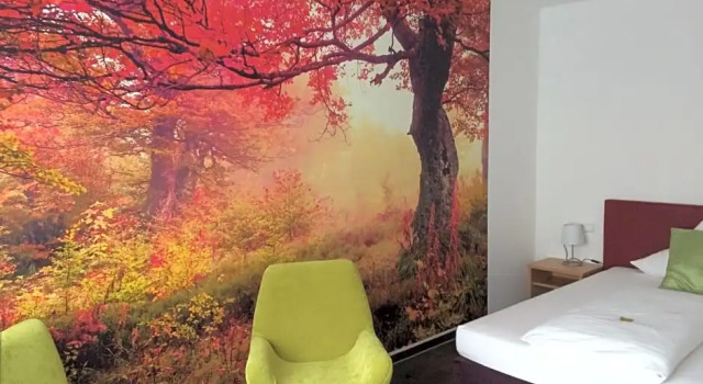Номер Comfort Hotel Schober