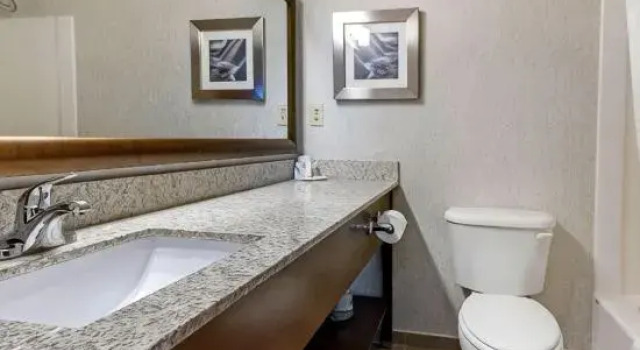 Четырёхместный люкс Comfort Inn & Suites Market - Airport