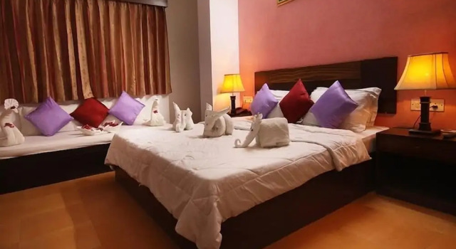Номер Deluxe Anand Palace Hotel