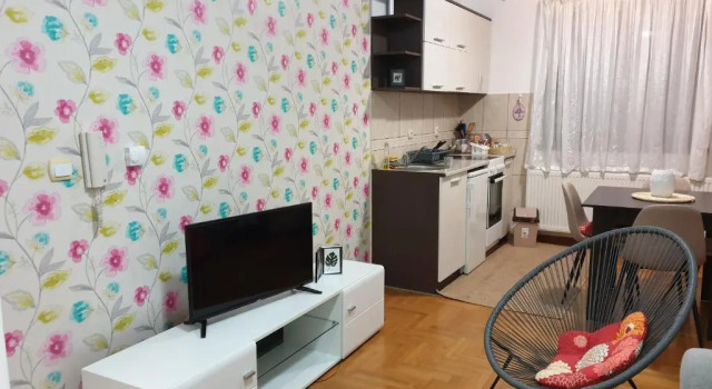apartman Gledovic 1