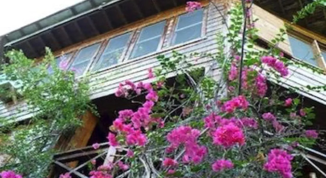 Roatan Bed & Breakfast Apartments, Reservar Apartamento Hotéis em Roatán com pequeno-almoço, Café da manhã