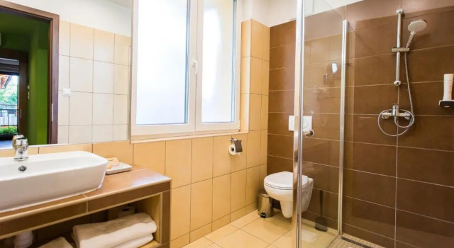 Двухместный номер Standard Tópart Hotel