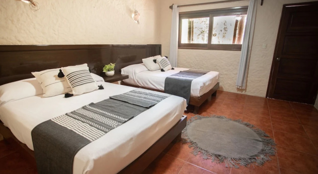 Camera quadrupla Standard Hotel Macondo Holbox