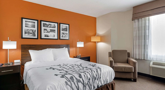 Двухместный номер Standard Sleep Inn DeWitt - Lansing North