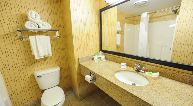 Двухместный номер Standard Holiday Inn Express Hotel & Suites Bowling Green by IHG