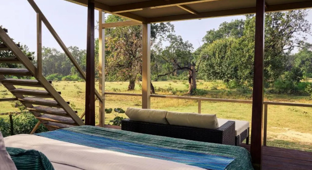 Тент Bagh Tola, Bandhavgarh Tiger Reserve