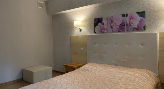 Двухместный номер Economy Цокольный этаж Viktoria Park Hotel