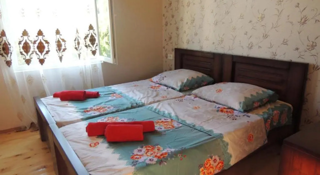 Habitación doble Estándar con vista a la montaña Guest House Ratison